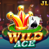Wild Ace - X Game Booster Download APK